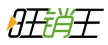 旺销王ERP
